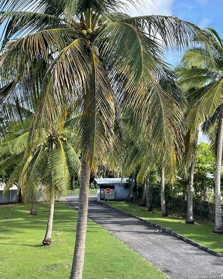 Appartement Tout Confort ! Au Pied De La Plage ! Sainte-Anne  Apartment Sainte-Anne (Grande-Terre)