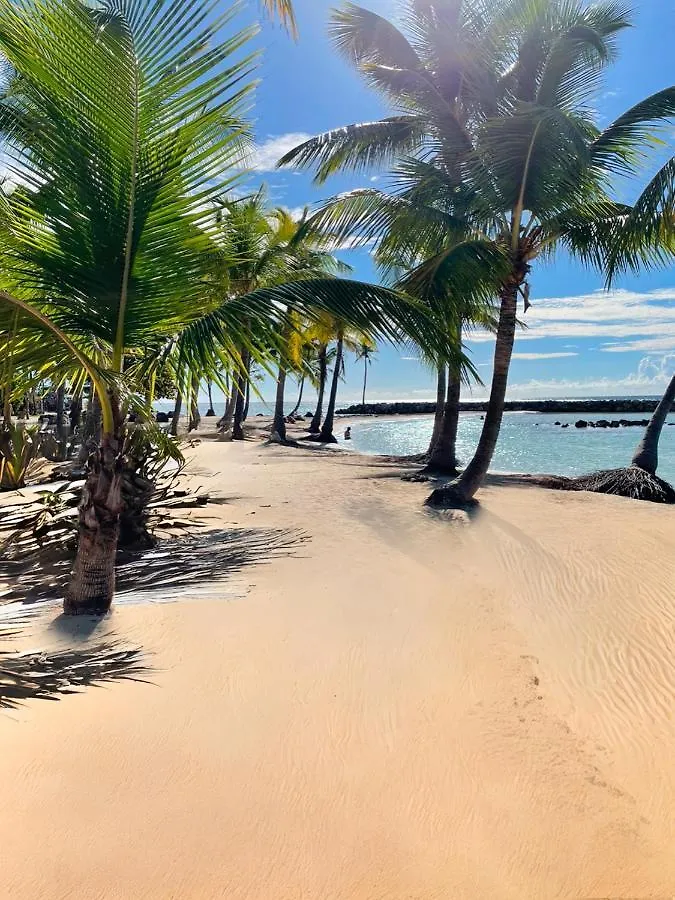 Appartement Tout Confort ! Au Pied De La Plage ! Sainte-Anne  Sainte-Anne (Grande-Terre)